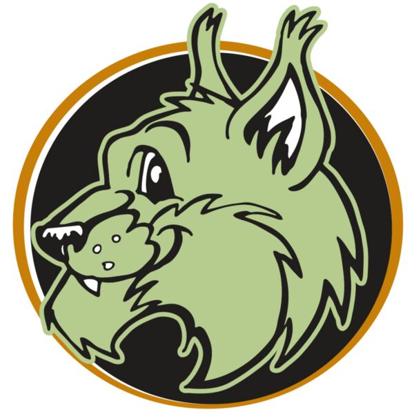 AR WILDCAT 17 RC Thumbnail